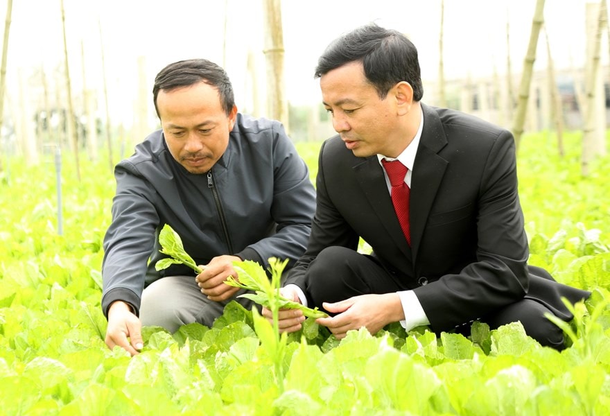 Đồng hành cùng người nông dân kiên trì gây dựng cơ nghiệp