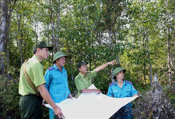 UBND cấp xã được phê duyệt phương án quản lý rừng cho hộ dân làm du lịch sinh thái từ ngày 1/7