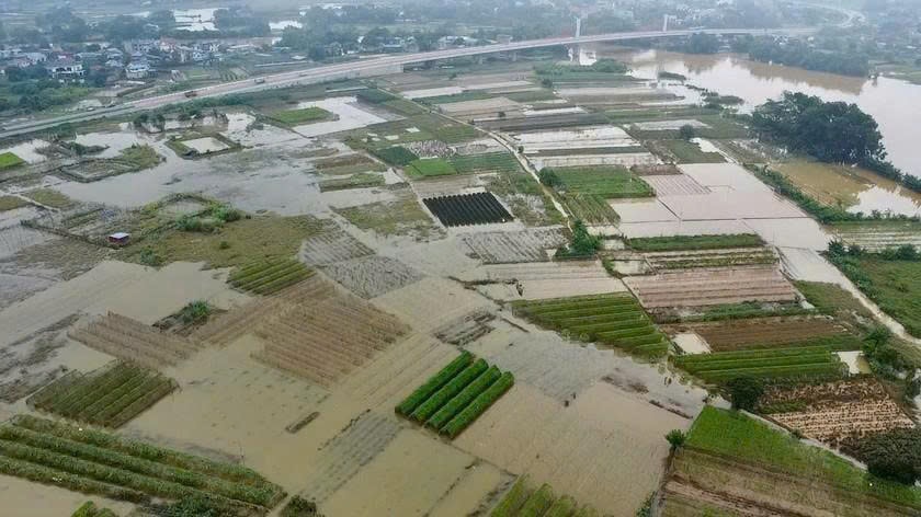 Miền núi phía Bắc ngập úng diện rộng, Trung Bộ nguy cơ thiếu nước sản xuất vụ hè thu