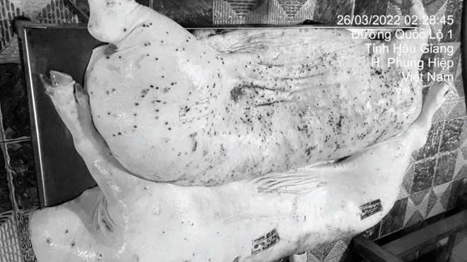 C.P. Việt Nam công bố kết quả vụ tố cáo thịt heo bệnh