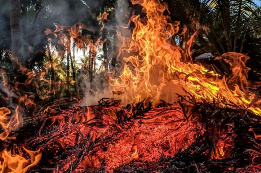 Hé lộ nguyên nhân Trái đất nóng suốt 5 triệu năm sau Đại tuyệt chủng
