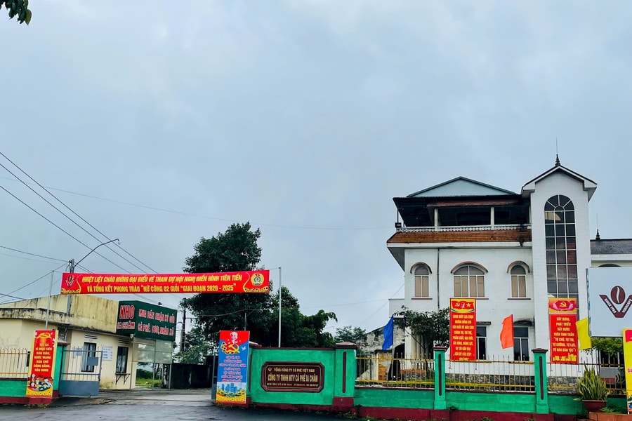 Vụ nguyên giám đốc công ty cà phê ở Gia Lai bị bắt: Khó thu hồi diện tích đất đã cho thuê?