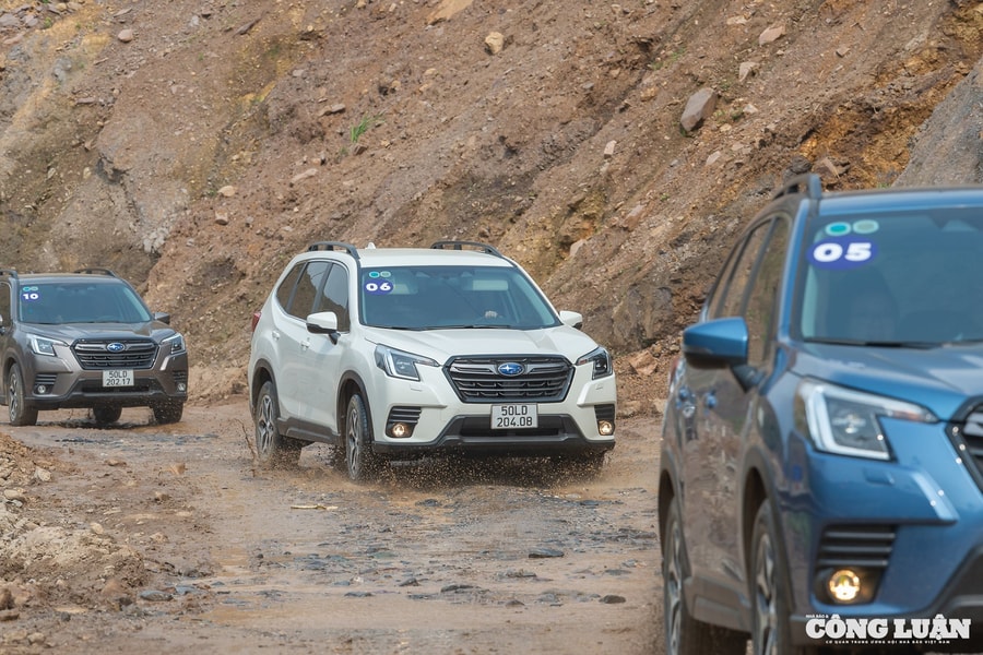 Subaru Forester giảm giá sâu tại đại lý xuống dưới 800 triệu đồng