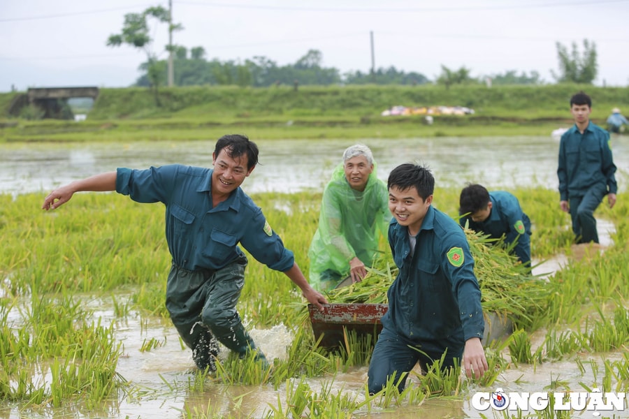 Hà Nội kiện toàn Ban Chỉ huy Phòng thủ dân sự cấp xã, tăng cường ứng phó thiên tai