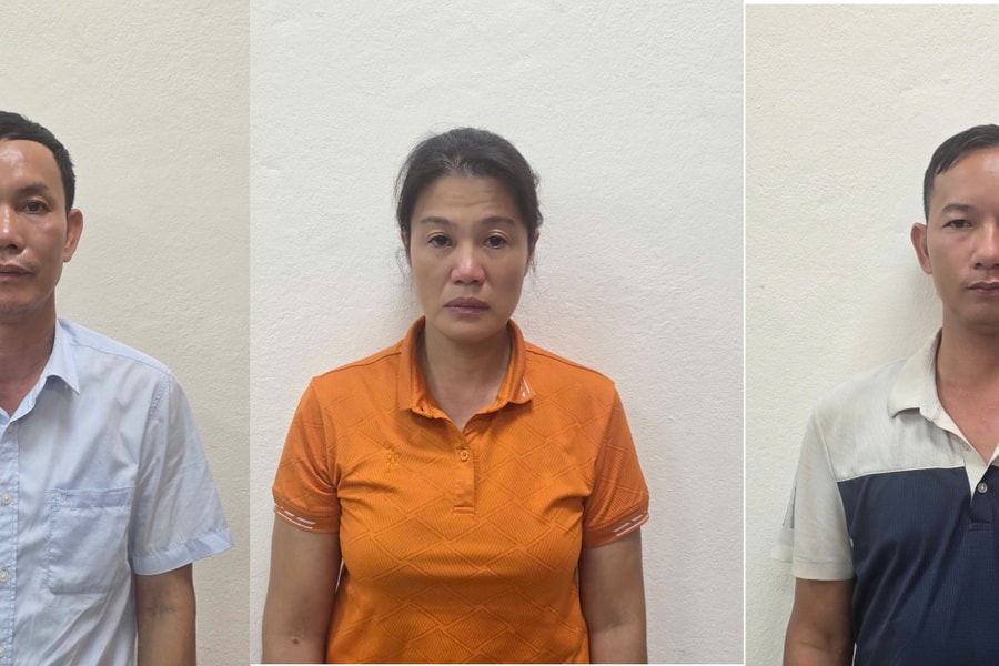 Bắt tạm giam Giám đốc Công ty Lâm nghiệp Hoành Bồ Quảng Ninh cùng đồng phạm tổ chức phá rừng tự nhiên