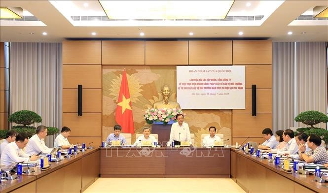 Quốc hội giám sát việc bảo vệ môi trường của Tập đoàn Điện lực Việt Nam, Tập đoàn Hóa chất Việt Nam