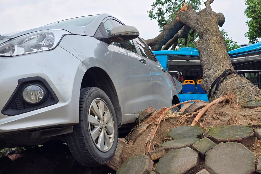 Hà Nội: Ô tô, xe buýt mắc kẹt giữa cây bật gốc, chờ giải cứu sau mưa giông