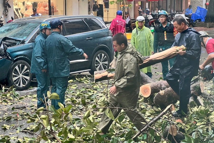 TP HCM mưa kèm gió lớn, cây xanh ngã đổ hàng loạt