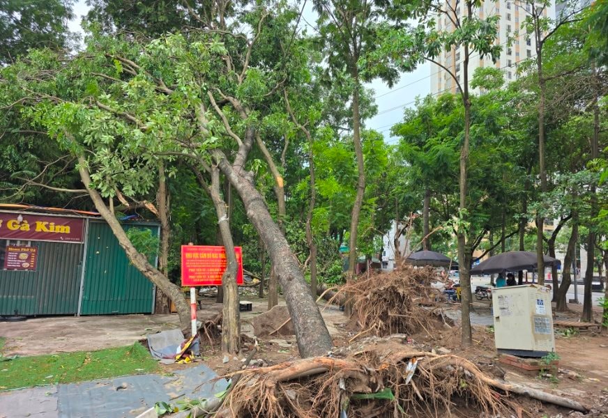 Hà Nội ban hành công điện khẩn ứng phó bão số 3 Wipha: Yêu cầu 'bốn tại chỗ'