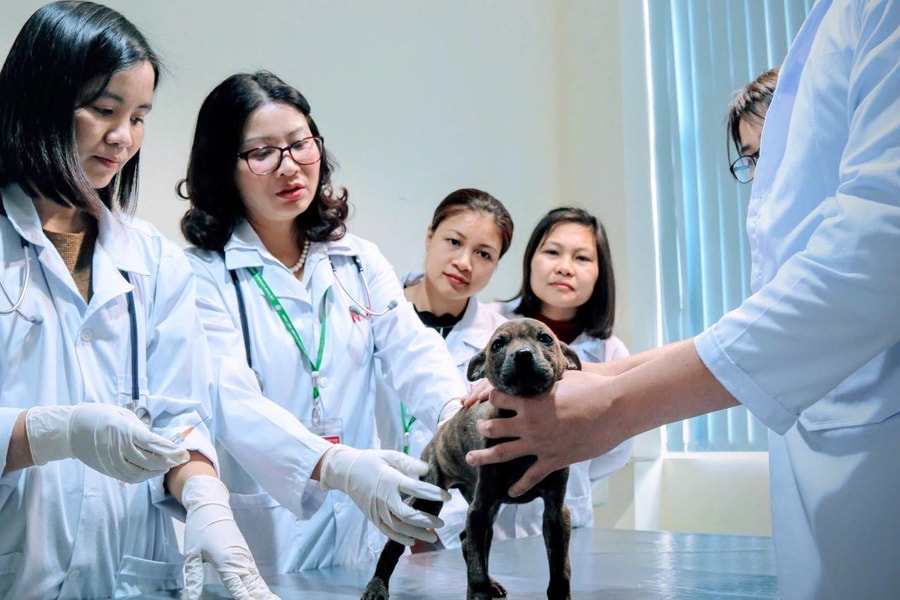 Ngành hot Học viện Nông nghiệp Việt Nam lấy sàn 21 điểm