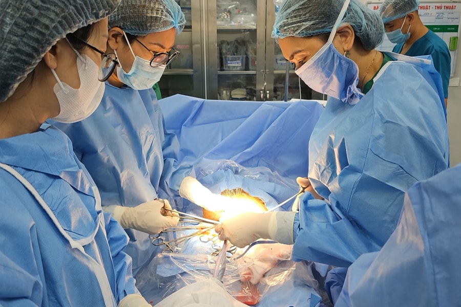 Cắt cành cây tránh bão, cụ ông 71 tuổi trượt ngã đập đầu, gãy chân