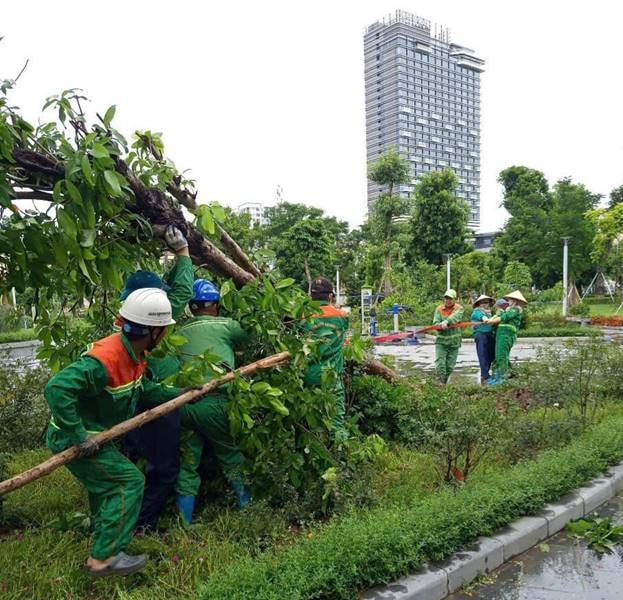 Công ty Môi trường đô thị Hải Phòng chủ động ứng phó với bão số 3