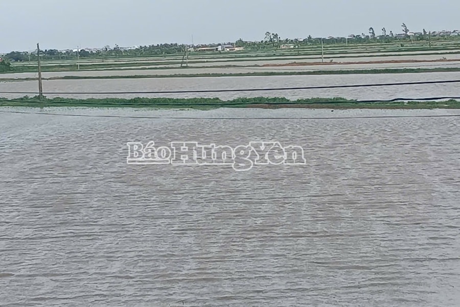 Hưng Yên: Tập trung khắc phục thiệt hại do bão số 3 gây ra, sớm đưa các hoạt động trở lại bình thường