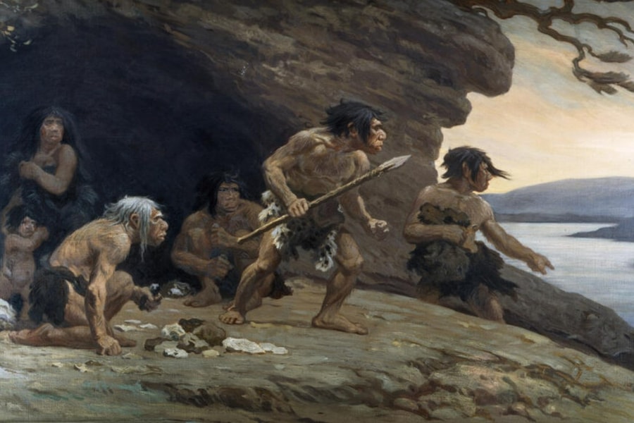 Nghiên cứu: Giòi có thể là thực phẩm chủ yếu của người Neanderthal