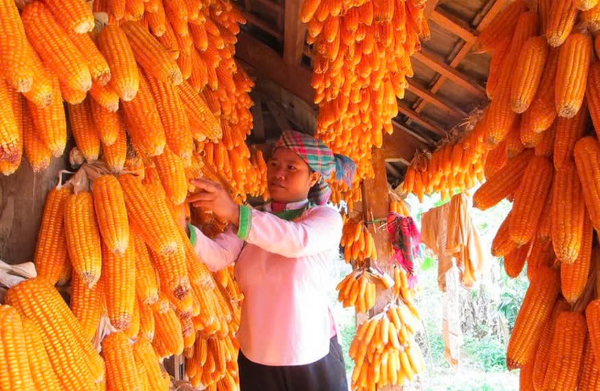 Lai Châu: Đẩy mạnh giảm nghèo, hướng tới sự phát triển bền vững