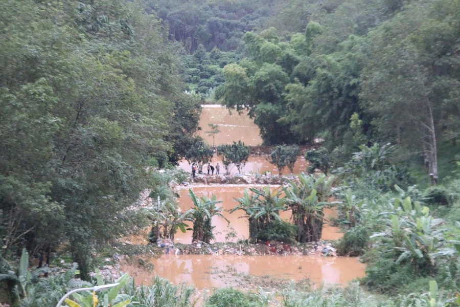 Quảng Ngãi: Vỡ bờ bao, rác thải tràn vào ao cá, vườn người dân
