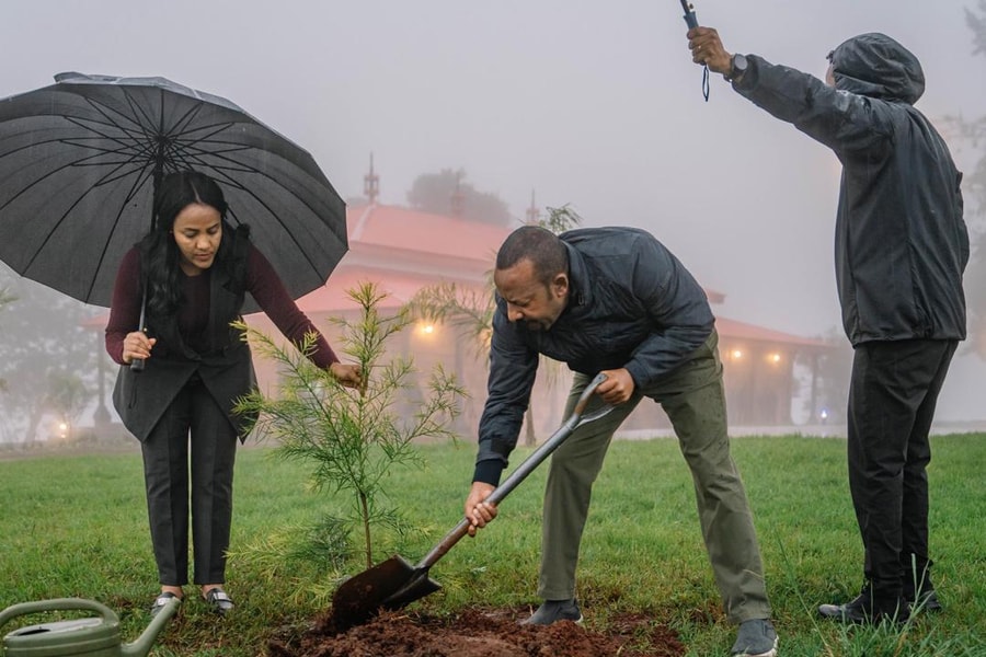 15 triệu người Ethiopia cùng xuống đường trồng 700 triệu cây để chống biến đổi khí hậu