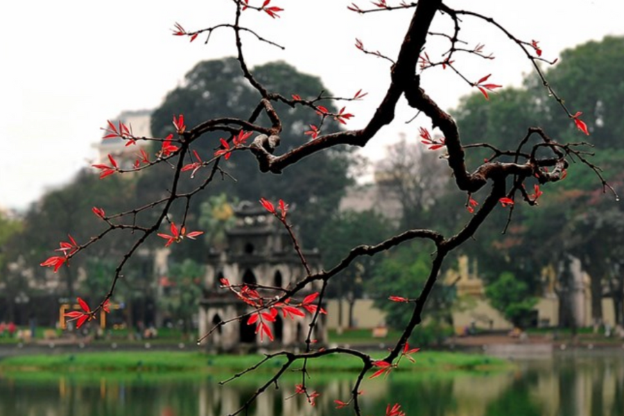 Việt Nam có 2 đại diện trong danh sách thành phố du lịch hàng đầu thế giới