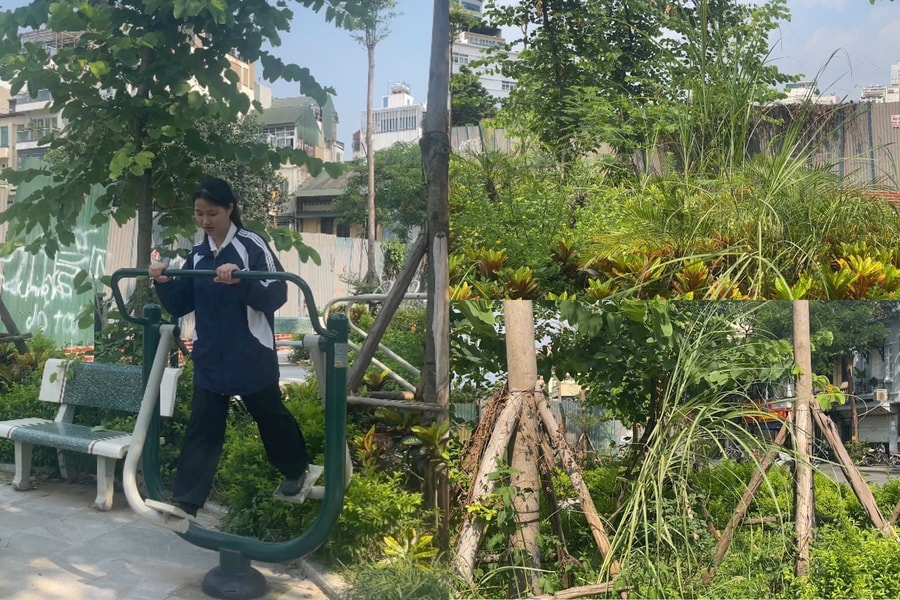 Hà Nội: Vườn hoa Thi Sách hoang hóa, cỏ mọc um tùm