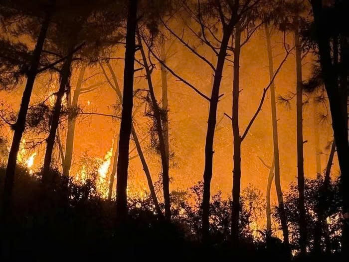 Nghệ An: Nhanh chóng dập tắt đám cháy rừng tại xã Tân Châu