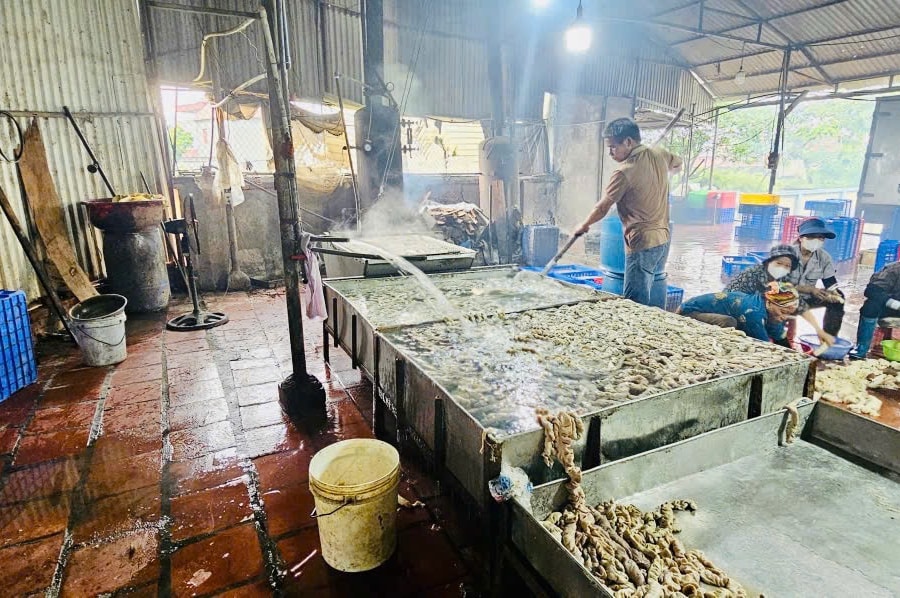 Tịch thu, xử phạt và buộc tiêu hủy 600 kg nội tạng động vật không rõ nguồn gốc ở Bắc Ninh