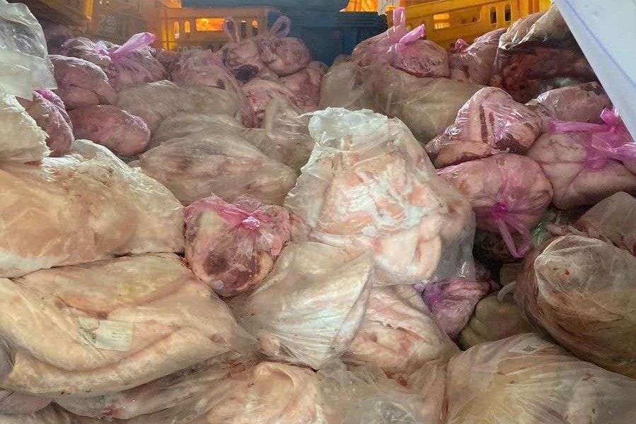 Gia Lai: Một công ty kinh doanh hàng tấn thịt và mỡ heo bốc mùi hôi thối