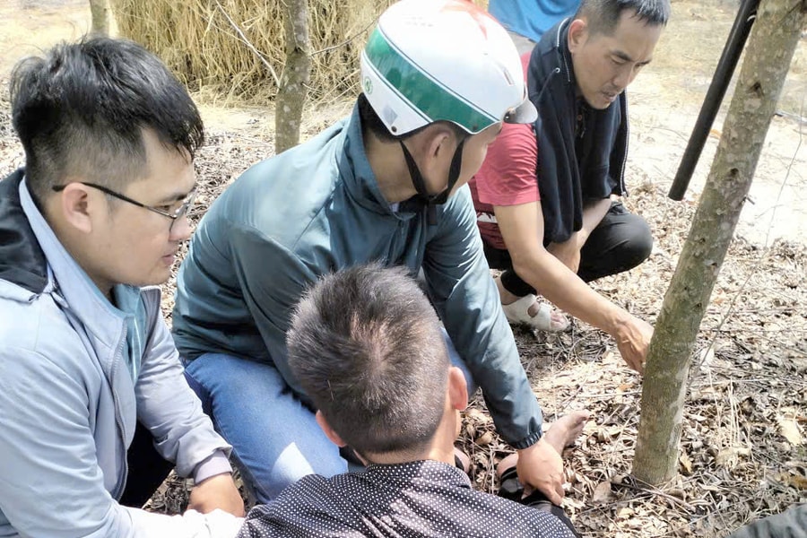 Gia Lai: Bắt giữ người đàn ông dùng dao tấn công chủ quán photo