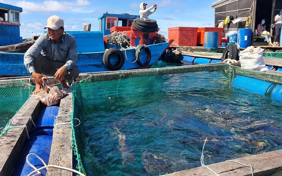 Bãi bỏ hoàn toàn nhiều thủ tục hành chính về nông nghiệp và môi trường