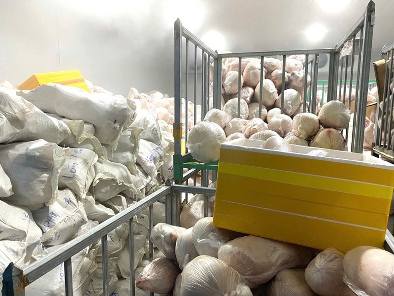 Gia Lai: Phát hiện hàng nghìn con lợn không rõ nguồn gốc trong kho đông lạnh