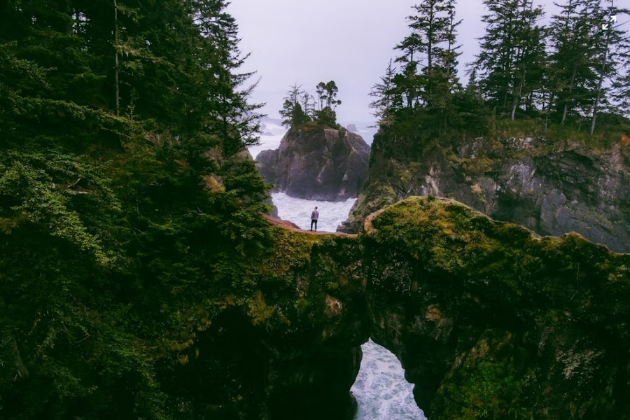 Nghiên cứu: Mối liên hệ của con người với thiên nhiên giảm 60% trong 200 năm