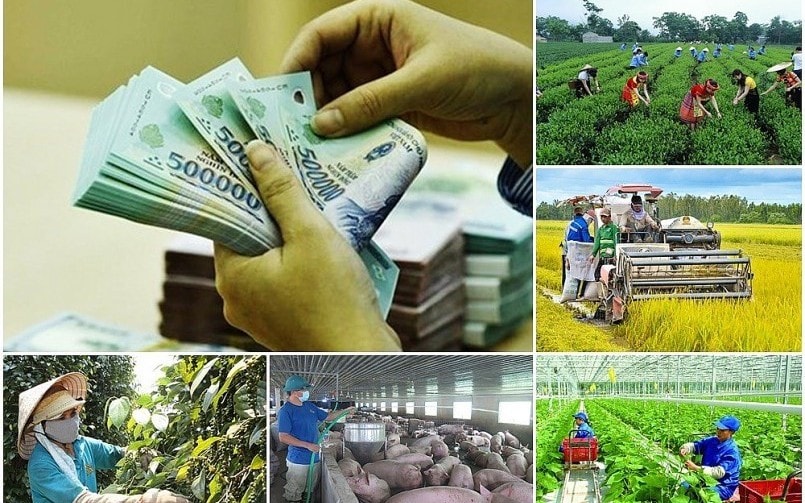 Không làm gián đoạn các chương trình mục tiêu quốc gia khi thực hiện chính quyền địa phương 2 cấp