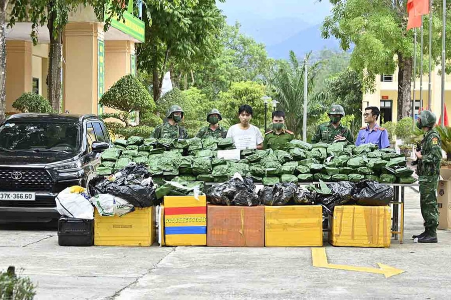 Bắt giữ đối tượng vận chuyển 240kg cần sa khô