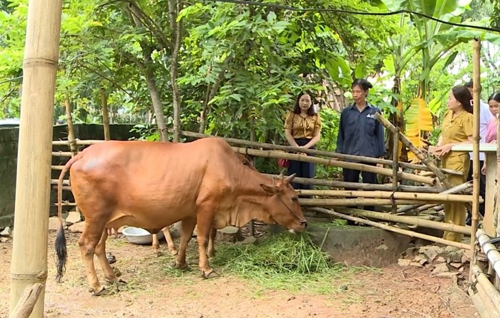 Thanh Hoá, Tạo ra sinh kế bền vững, điểm tựa nâng chất lượng cuộc sống cho người dân