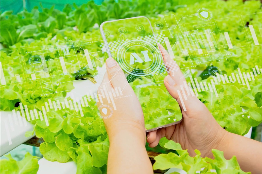 Nông dân Việt Nam được hỗ trợ ứng dụng AI vào sản xuất, thích ứng biến đổi khí hậu