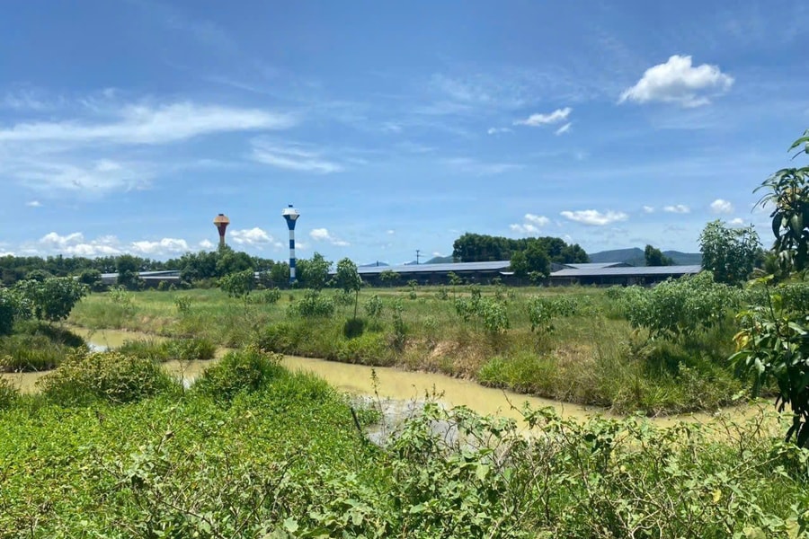 Hà Tĩnh phạt gần 150 triệu đồng 3 cơ sở xả thải gây ô nhiễm