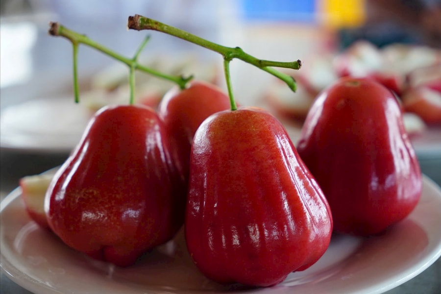 Agribank tiếp vốn cho mận hồng Sân Tiên chinh phục thị trường khó tính