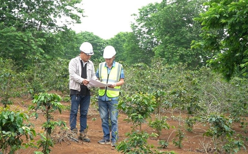 Chính phủ bổ sung quy định về bồi thường cây trồng, vật nuôi khi Nhà nước thu hồi đất