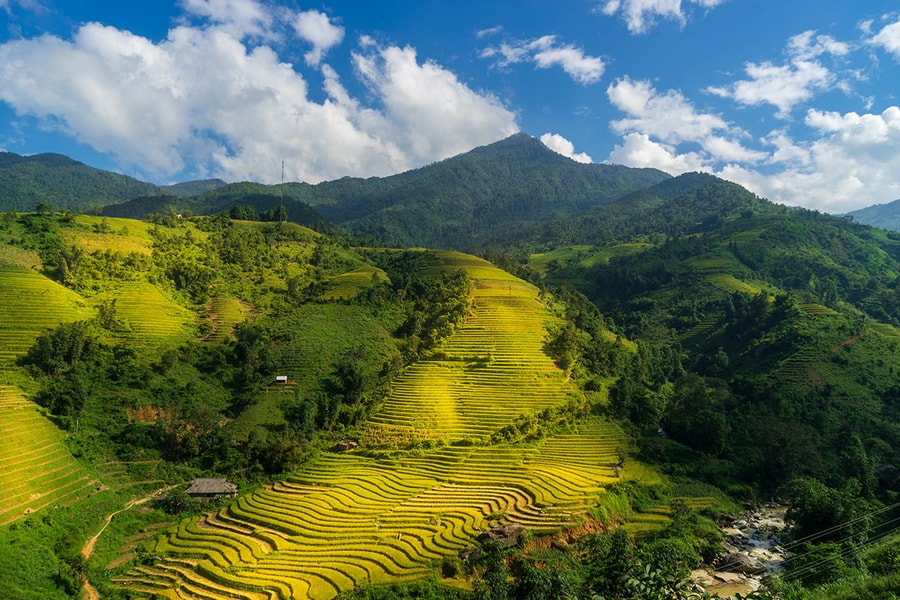 Mở đợt sáng tác ảnh nghệ thuật "Mùa vàng Lào Cai 2025"