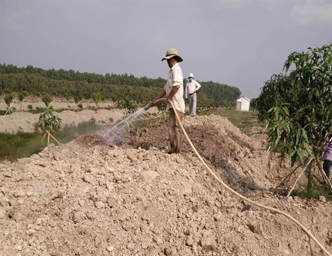 Giảm 30% tiền thuê đất năm 2025 cho các trường hợp trả tiền thuê đất hằng năm