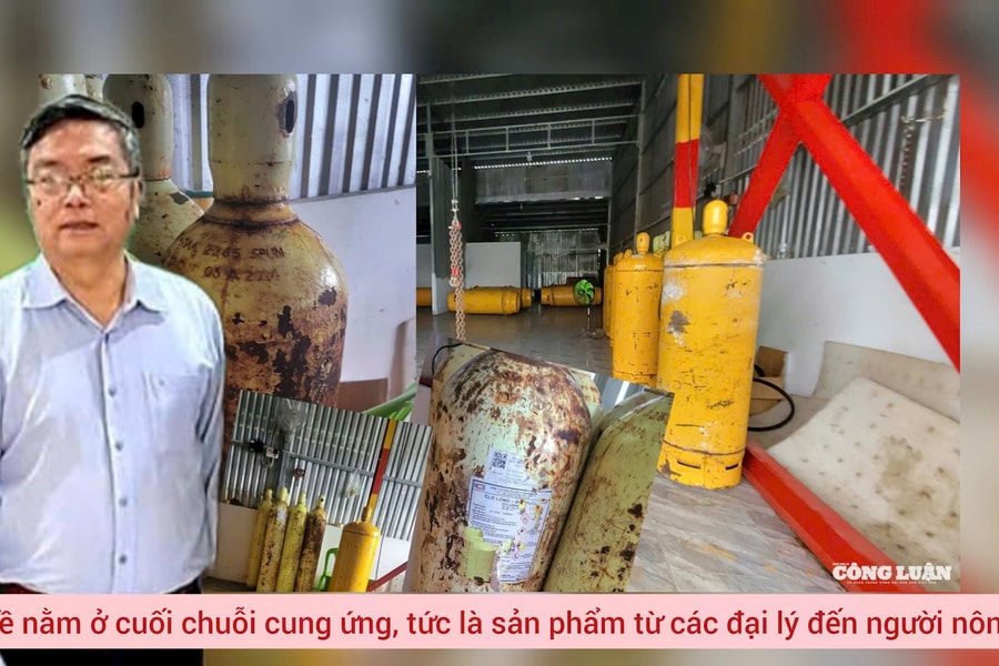Quản lý khí Clo trong nuôi trồng thuỷ sản: Chuyên gia chỉ ra 'lỗ hổng' nằm ở cuối chuỗi cung ứng