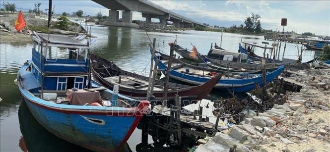 Chỉ đạo của Ban Bí thư về ứng phó với cơn bão số 5 (Kajiki)