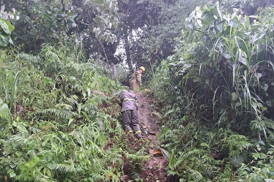 Viettel huy động tổng lực phòng chốmg bão Kajiki