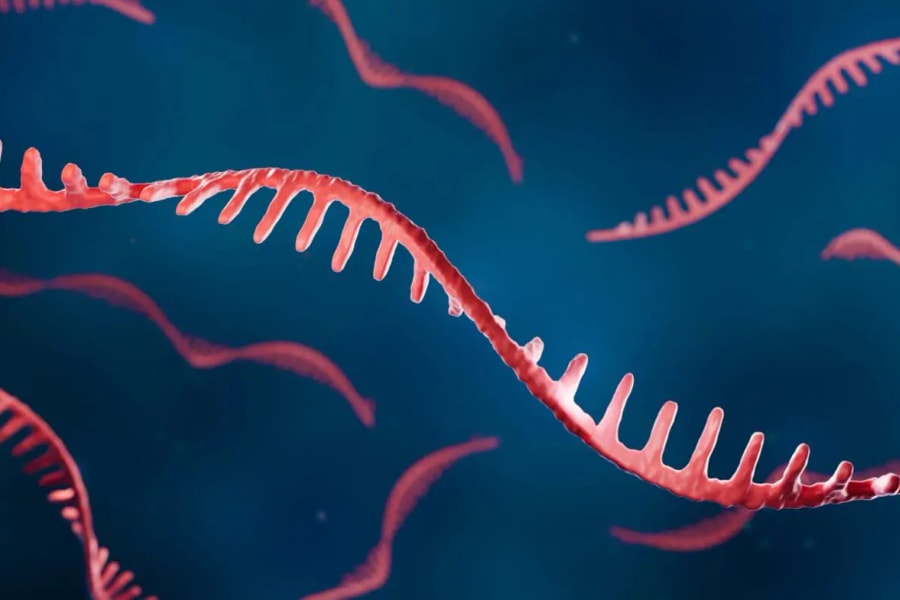 Nghiên cứu tiết lộ về khởi động của sự sống cách đây 4 tỷ năm