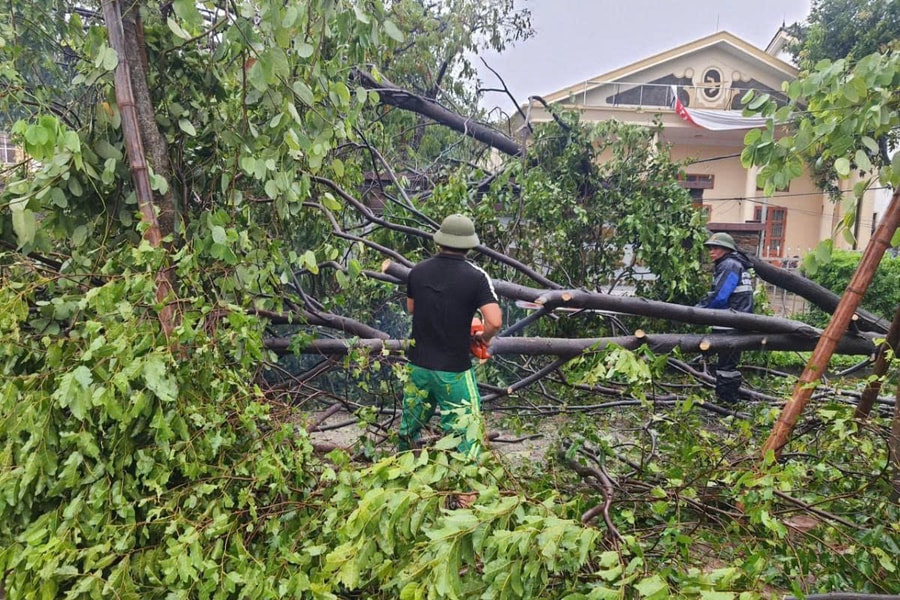 Nghệ An: Hơn 2.000 tấn rác mỗi ngày sau bão số 5, công nhân làm xuyên đêm thu dọn