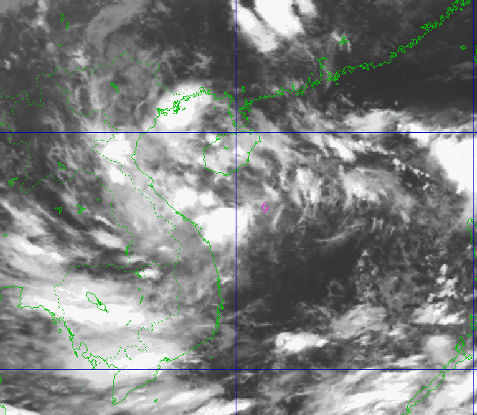 Ứng phó khẩn cấp áp thấp nhiệt đới mạnh lên bão, đổ bộ Bắc Trung Bộ tối 30/8