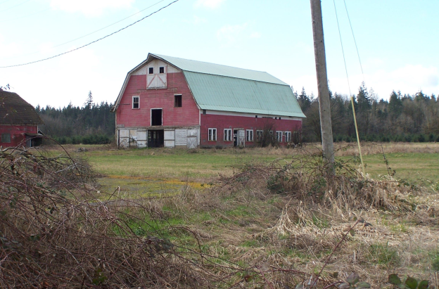 Nông dân Mỹ khủng hoảng vì giá nông sản lao dốc