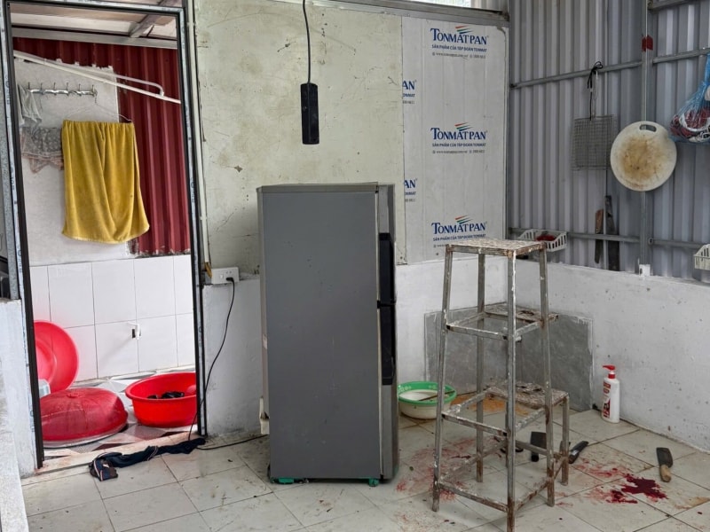 Bà nội sát hại 2 cháu vì mâu thuẫn gia đình