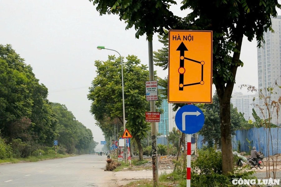 Hà Nội: Chặt hạ, di chuyển hơn 2.600 cây xanh để phục vụ dự án giao thông trọng điểm