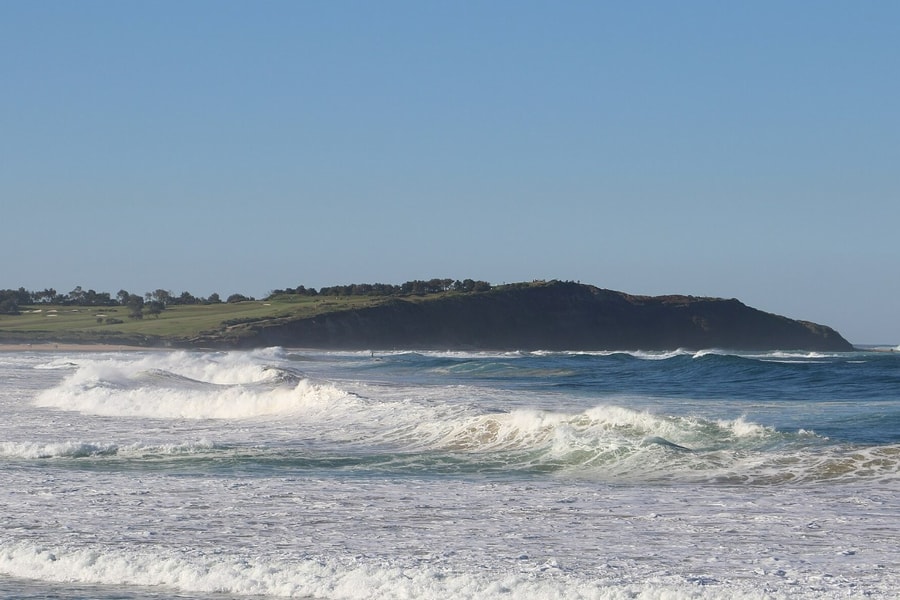 Cá mập lại cắn người ở bãi biển Úc, một người tử vong