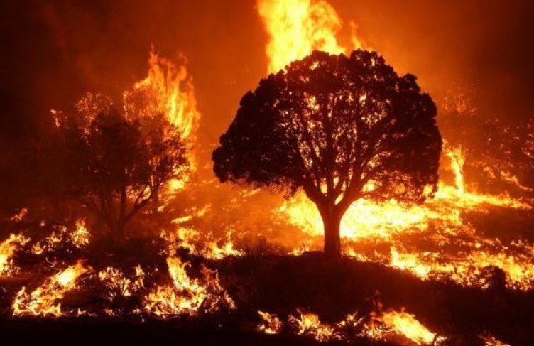 Cháy rừng làm trầm trọng thêm khủng hoảng ô nhiễm không khí